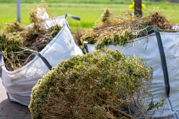 Trash Removal Near Me in Lake Crystal, MN