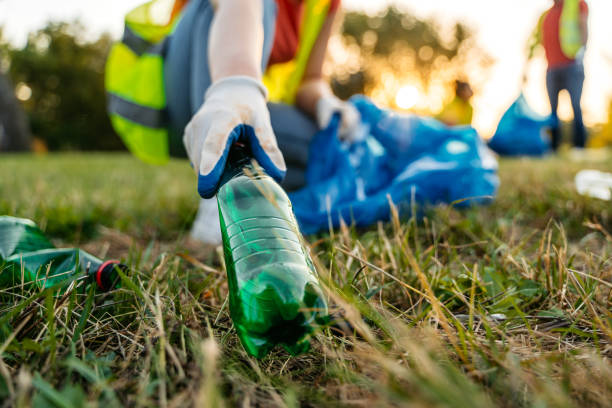Best Yard Cleanup Services  in Lake Crystal, MN