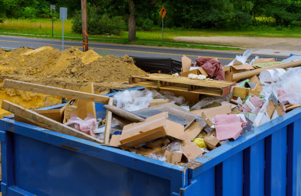 Best Household Junk Removal  in Lake Crystal, MN